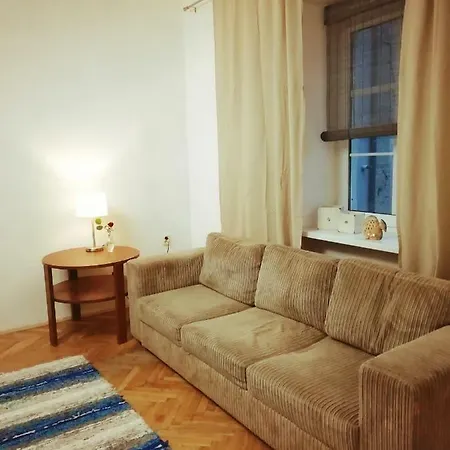 One Roome Flat With Big Kitchen *